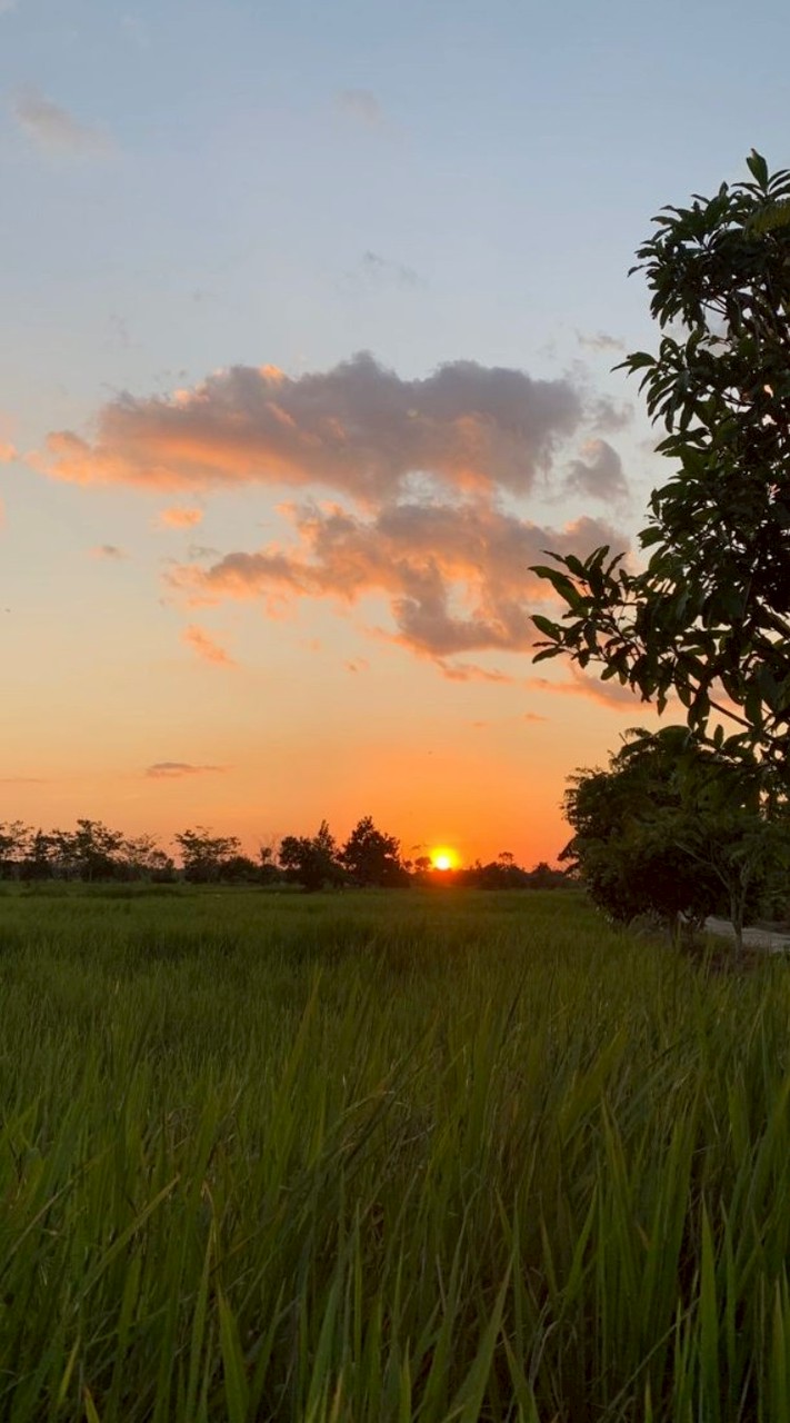 หมู่บ้านดอนผีหลอก(โรลเพลย์)