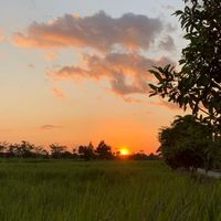 หมู่บ้านดอนผีหลอก(โรลเพลย์)