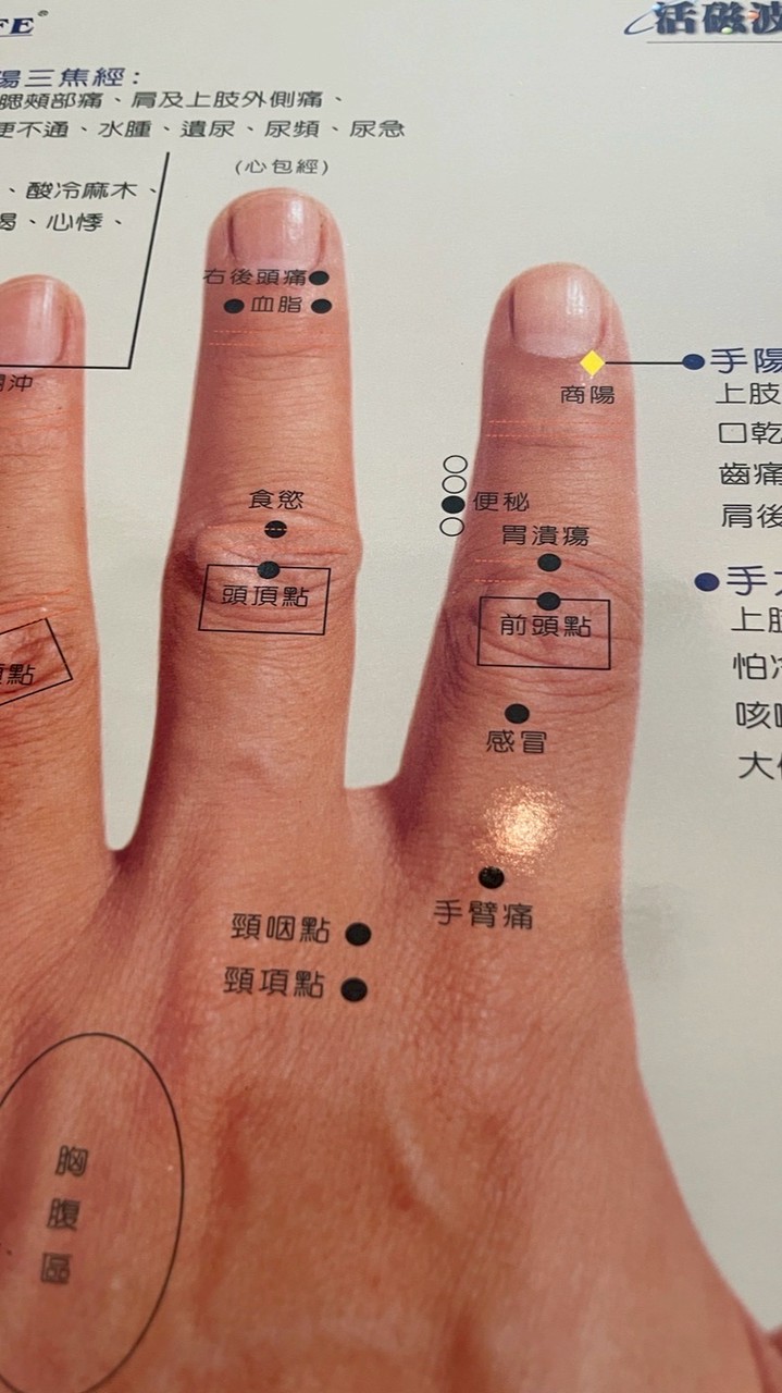 電子針灸儀