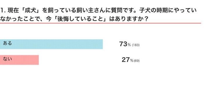 犬の先輩飼い主が後悔していること