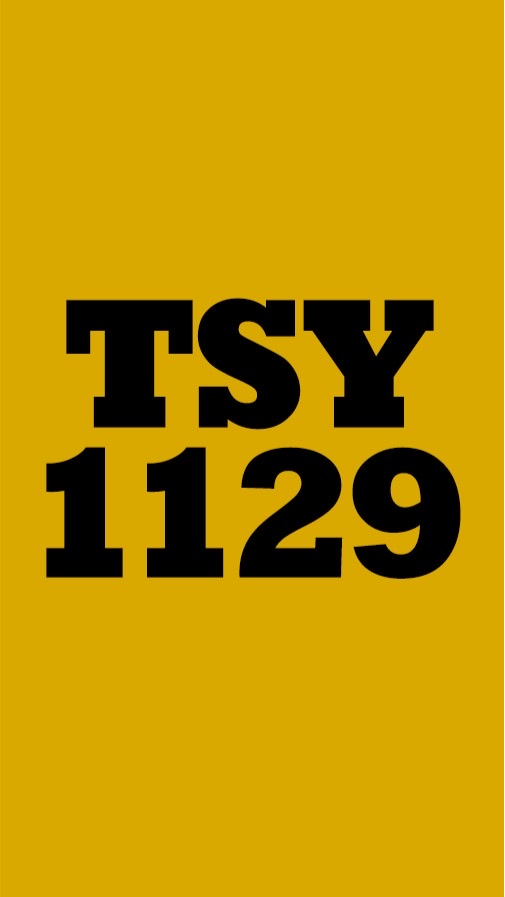 TSY1129のオープンチャット