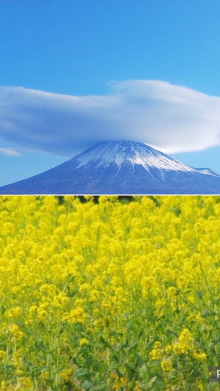 写真 カメラ 好きさん集まれ〜