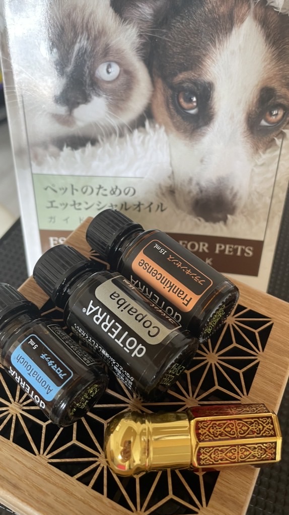 動物と人を癒し輝かせる専門家🐶🐱💄💕