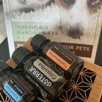 動物と人を癒し輝かせる専門家🐶🐱💄💕