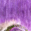方舟心靈花園