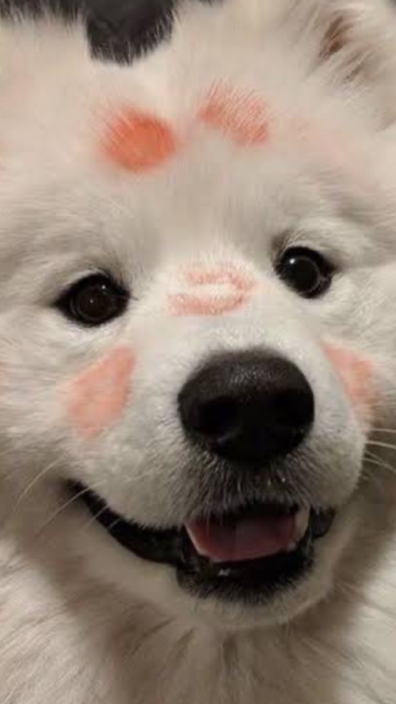 กลุ่มคุยเล่น🧸🎁