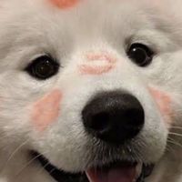 กลุ่มคุยเล่น🧸🎁