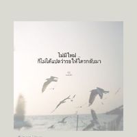 เฉพาะคนโสด
