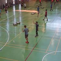 舞動陽光-成功高中運動中心羽球俱樂部