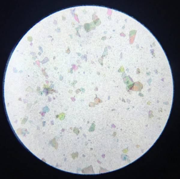  Penampakan Lipstik di Bawah Mikroskop Ini Lebih Keren 