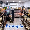 ซื้อ-ขายสัตว์เลี้ยงExotic By Exotopia