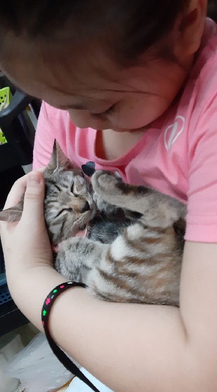 🙈貓狗大戰💥寵物日常💓