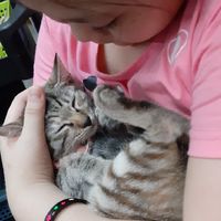 🙈貓狗大戰💥寵物日常💓