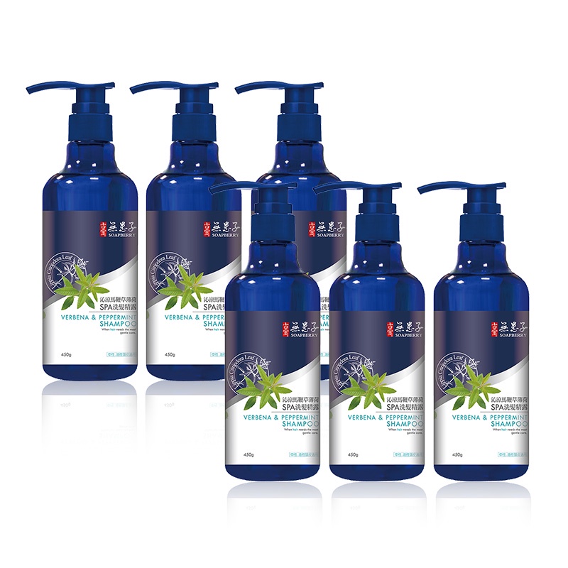 【古寶無患子】經典6入-無矽靈植萃修護洗髮精露450g-馬鞭草薄荷 (中油性/頭皮問題)超級涼爽配方