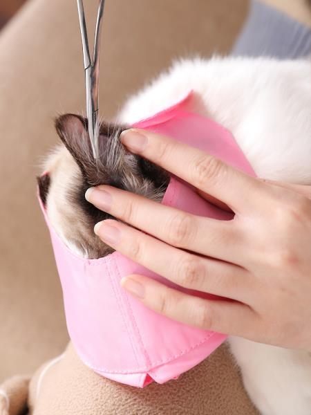 全館83折貓咪口罩寵物洗澡眼罩防貓叫神器防貓咬嘴罩嘴套面罩清潔美容用品