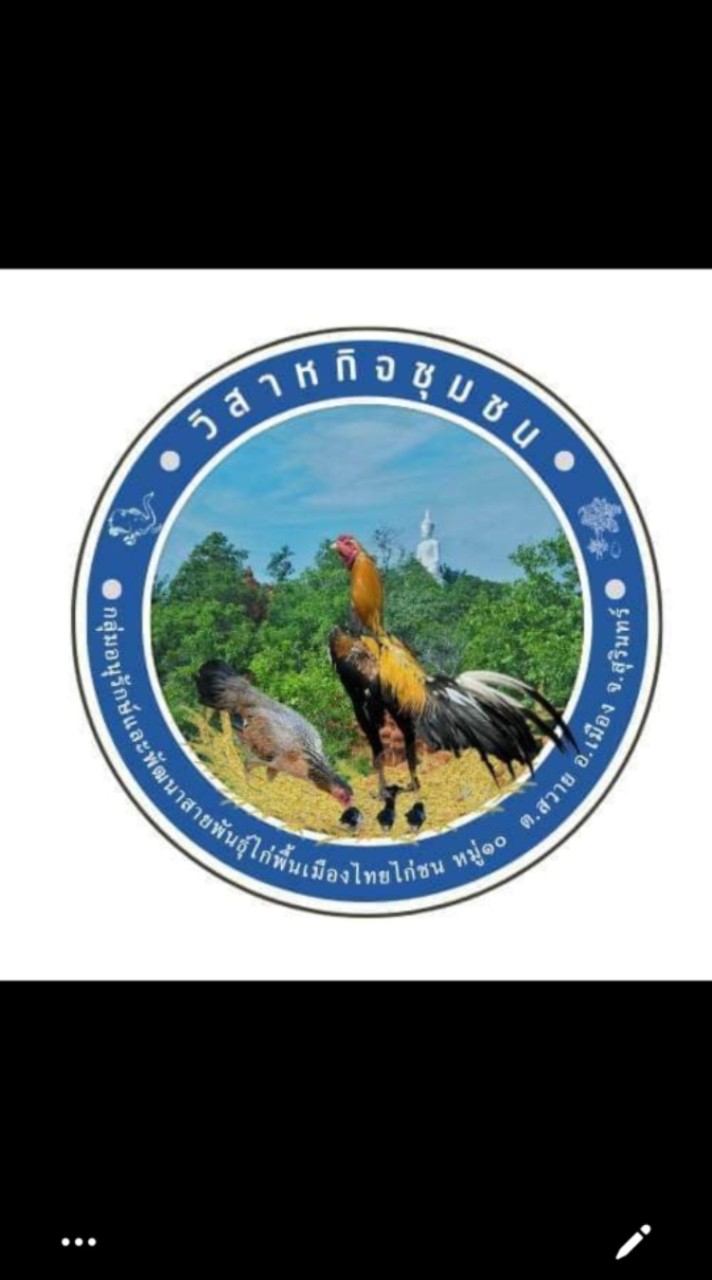 กลุ่มคัดเลือกสายพันธุ์ไก่พื้นเมืองไทย(ไก่ชน)