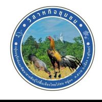 กลุ่มคัดเลือกสายพันธุ์ไก่พื้นเมืองไทย(ไก่ชน)