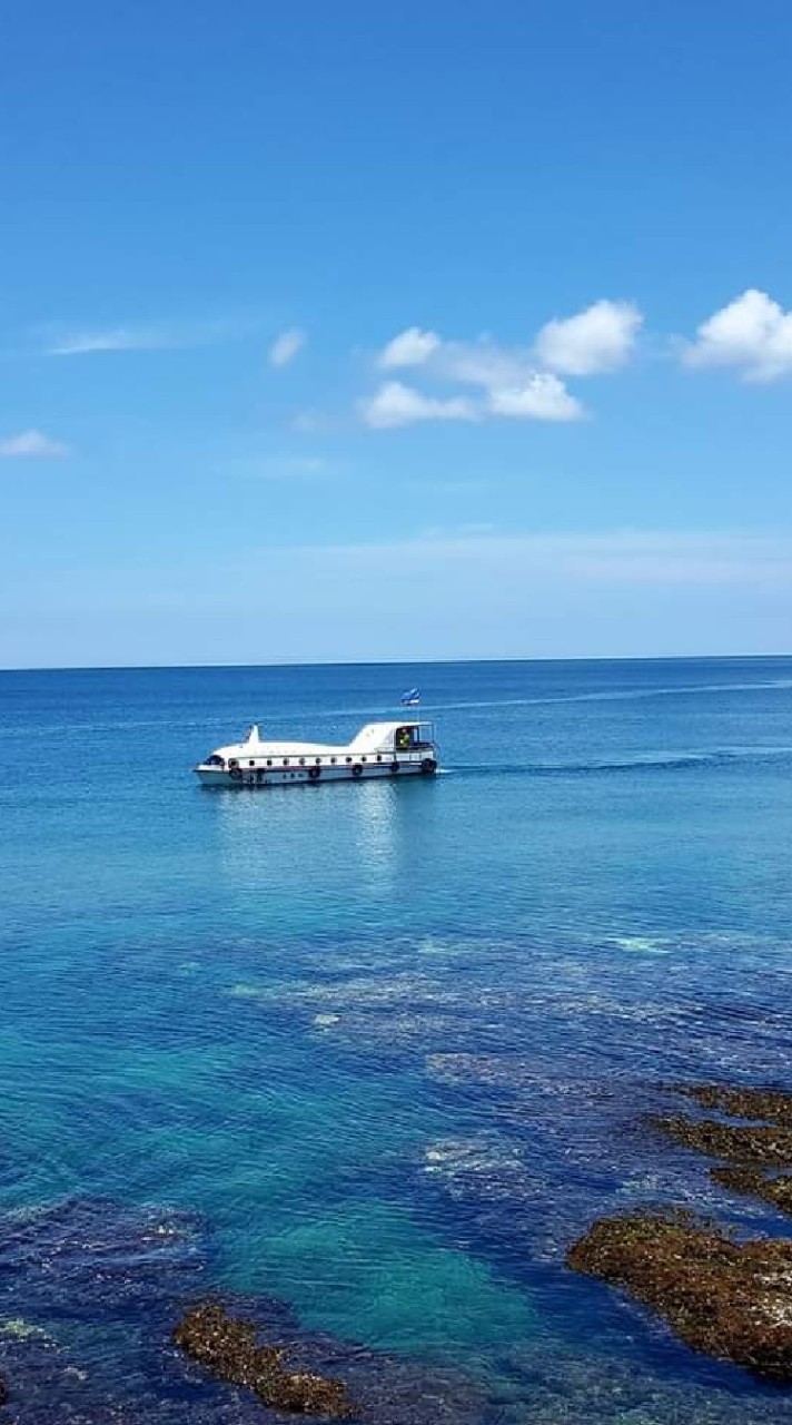 墾丁💟紅柴坑漁港🐬小海豚半潛艇🚤