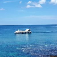 墾丁💟紅柴坑漁港🐬小海豚半潛艇🚤