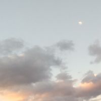 作曲サークルメンバー募集中！