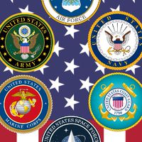 アメリカ軍の会