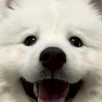 TD俱樂部