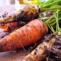 AGBIOTECH事業情報共有/田淵Kグループ
