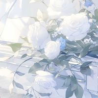 ₊⁺ ₊⁺ 艾斯涅拉₊⁺ ₊⁺