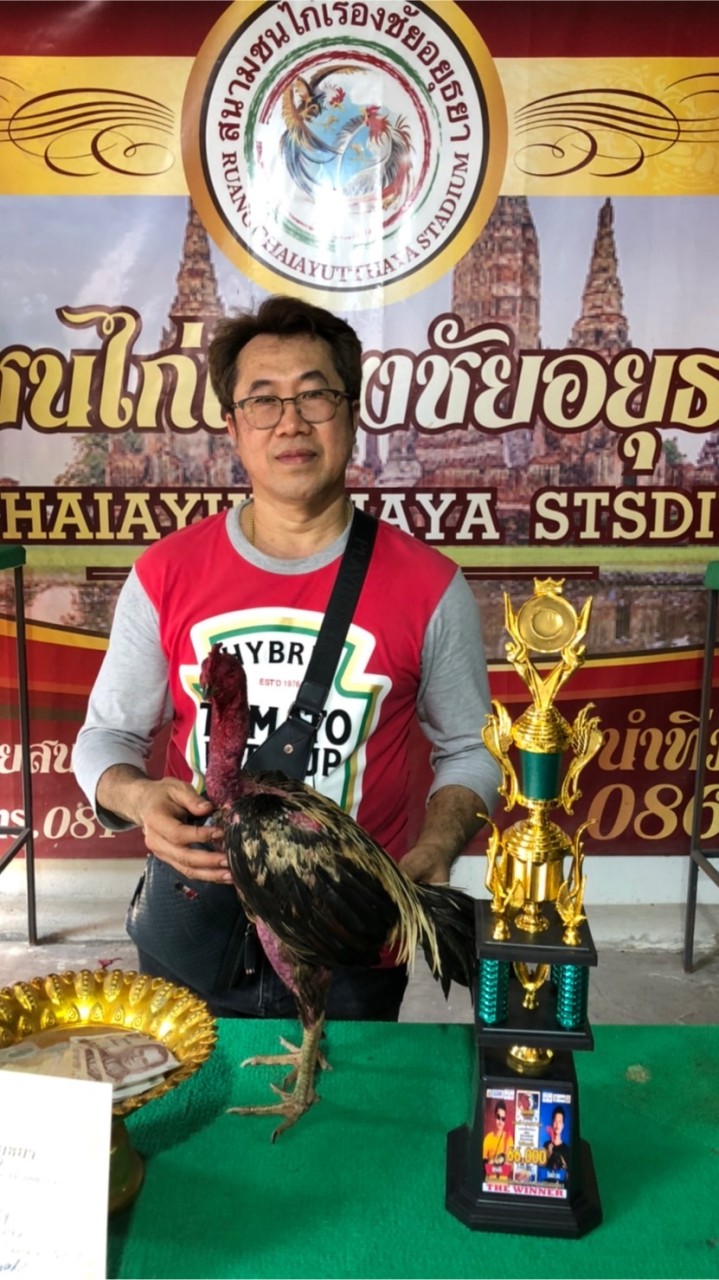 ไก่ชนพรศิริฟาร์ม by ธันวา