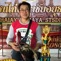 ไก่ชนพรศิริฟาร์ม by ธันวา