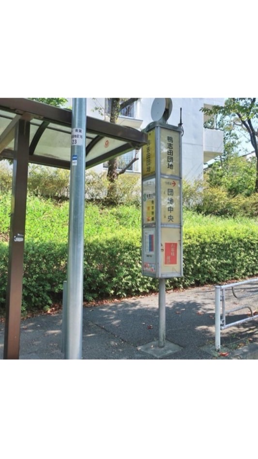 となりの鴨団さん。
