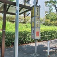 となりの鴨団さん。