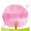 【大阪】お花見＆開花情報🌸写真＆スポット/ 桜 さくら 梅 ウメ 春