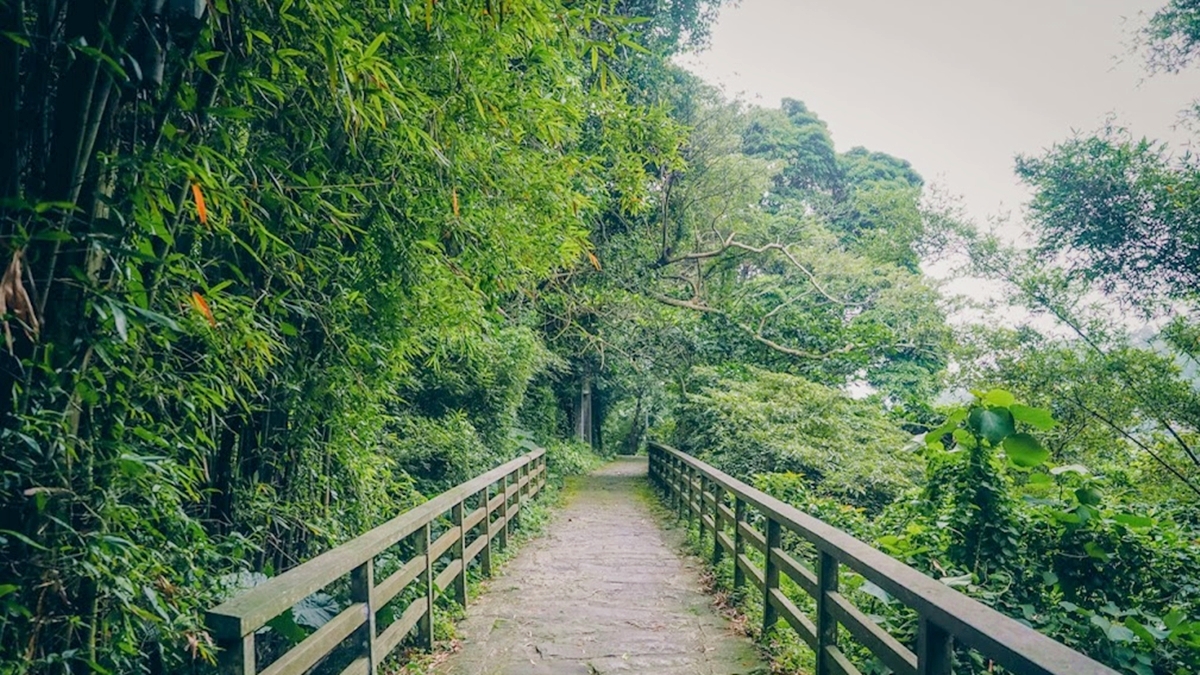 新北人放空首選！五股區６處私房景點：農場內「瀑布祕境」、森林磨石子滑梯