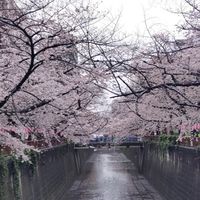 📍 跟著芬妮買起來📍日本🇯🇵