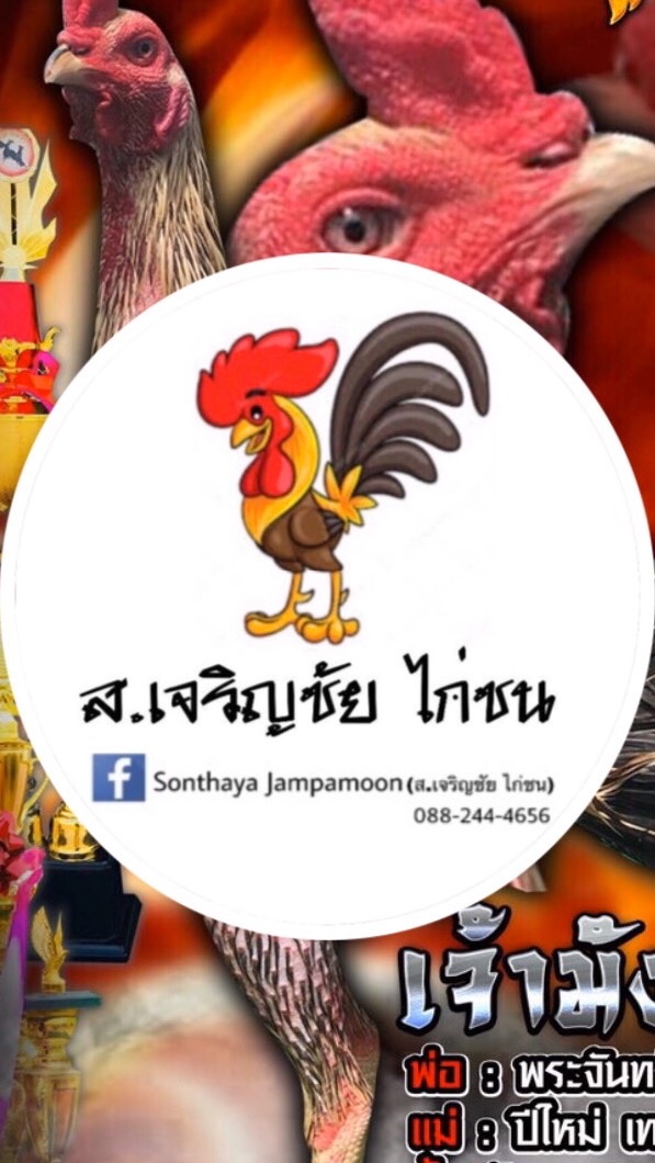 ส.เจริญชัย ไก่ชน