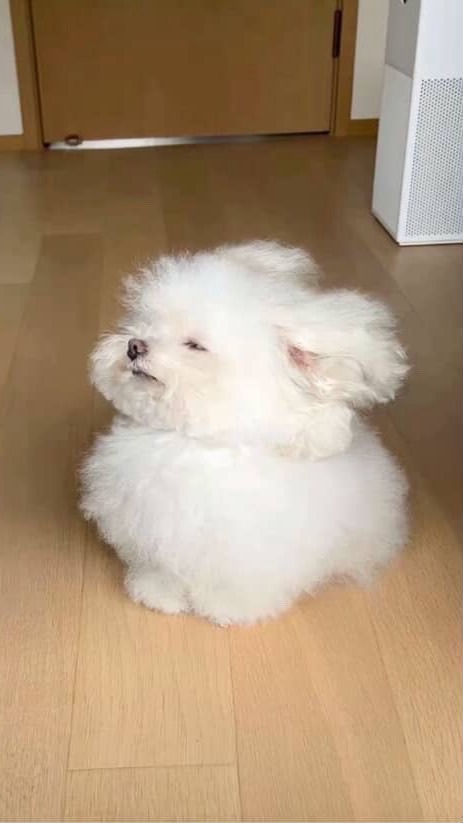 加班