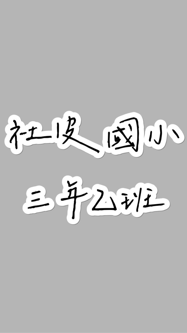 社皮國小三年乙班