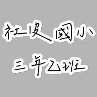 社皮國小三年乙班