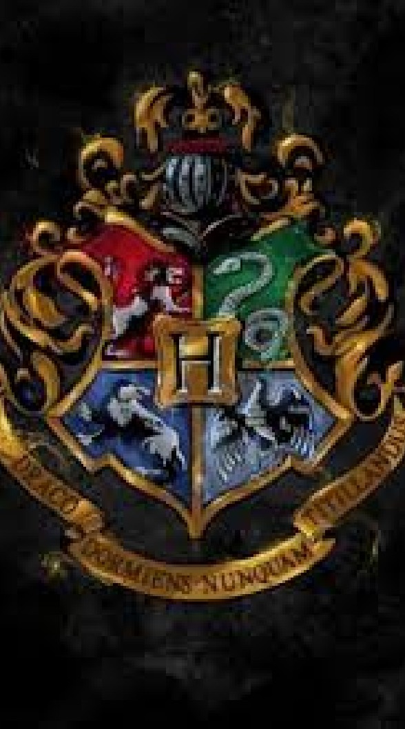 School Hogwarts🦁🐍🐦🐻