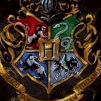 School Hogwarts🦁🐍🐦🐻