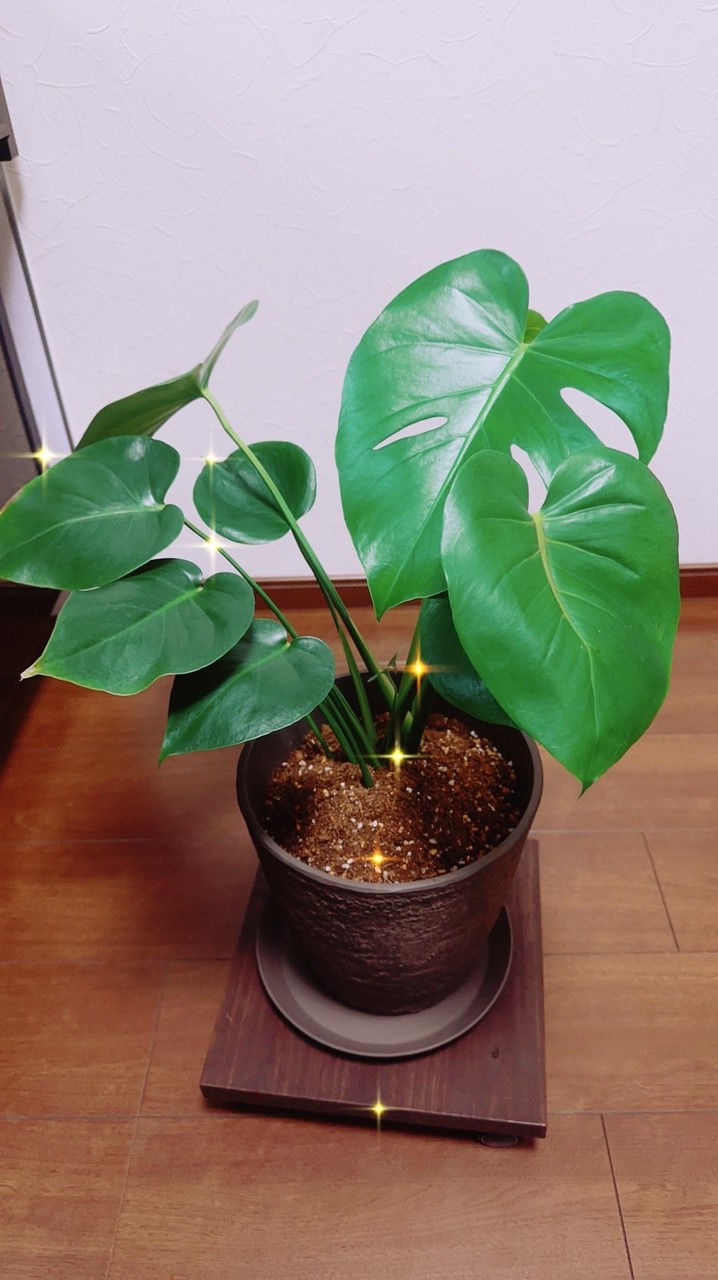 何でも相談できる場所