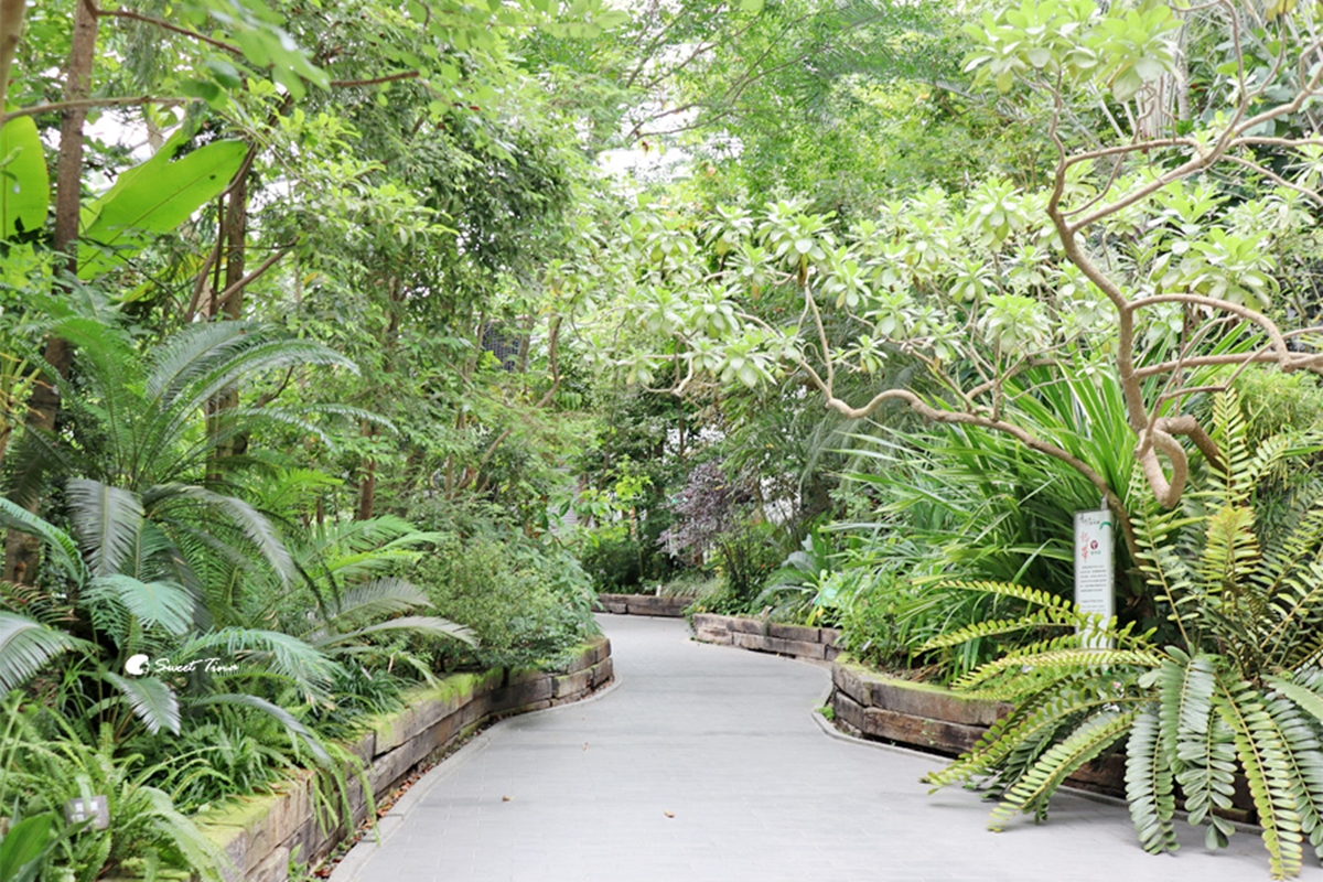 台北免費景點推薦！６處公園、室內景點必衝：台北最長溜滑梯、１日小加油員