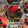ส.สันป่าชัย (พม่าไต้หวันพัฒนา)