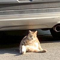 發洩、聊天