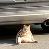 發洩、聊天