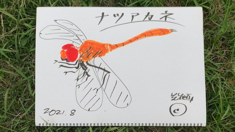 エビ中 安本彩花 子カマキリ になって赤とんぼを学ぶ 香川照之の昆虫すごいぜ 新作に出演