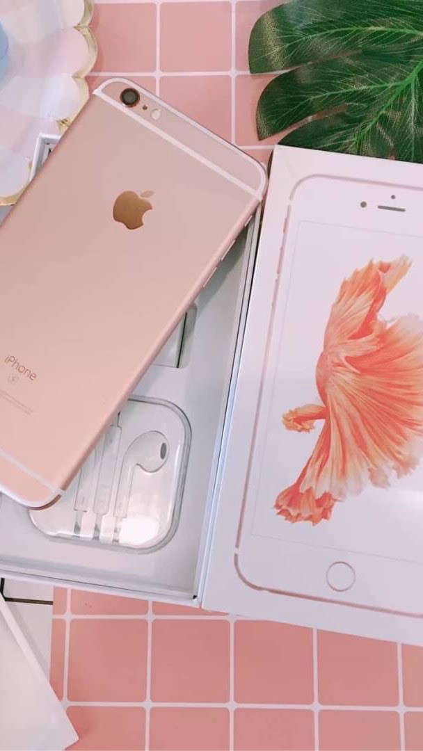 Pai Rawiphan Phone 🐻🧸