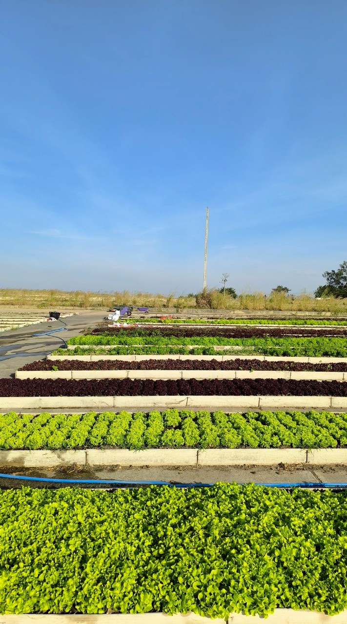 ซื้อ-ขาย berkanaland