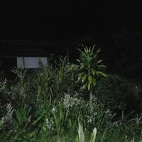 บ้านแห่งความสุข